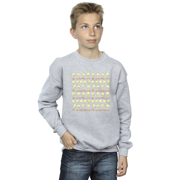 Looney Tunes Boys Tweety Repeat Sweatshirt 9-11 år Sports Grå Sports Grey 9-11 Years