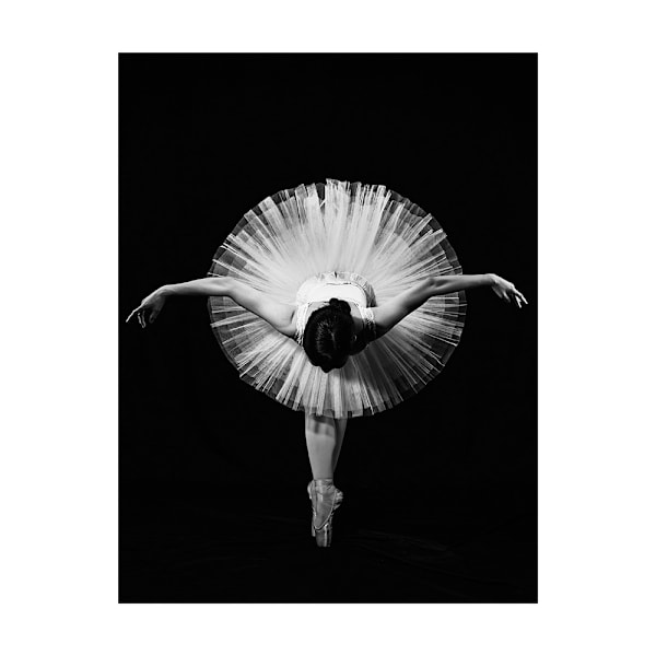 Pyramid International Finale Print 80cm x 60cm Svart/Vit Black/White 80cm x 60cm