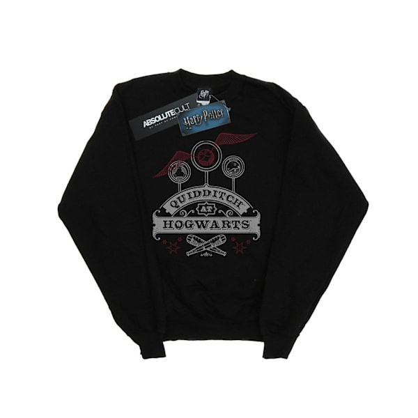 Harry Potter Quidditch på Hogwarts Sweatshirt för pojkar 9-11 år B Black 9-11 Years