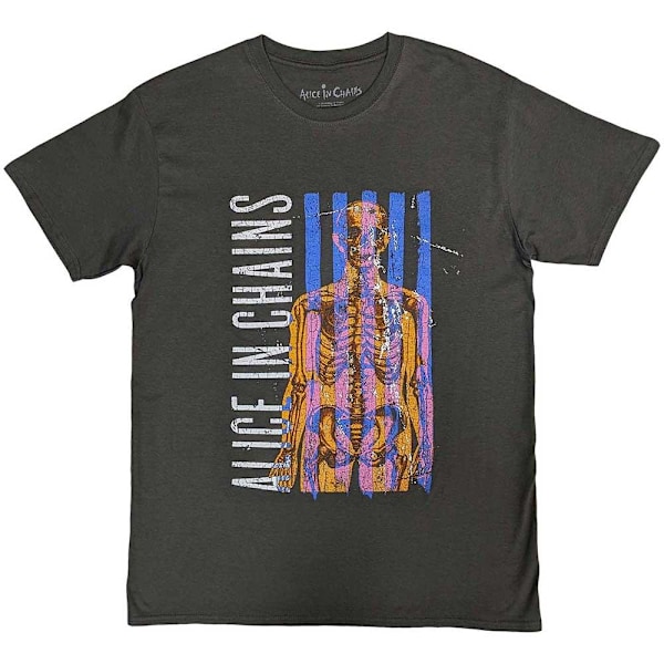 Alice In Chains Unisex Vuxen Skelett T-Shirt M Kolgrå Charcoal Grey M