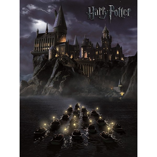 Harry Potter Hogwarts Canvas Print 50cm x 40cm Grå Grey 50cm x 40cm