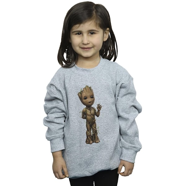 Marvel Girls I Am Groot Wave Pose Sweatshirt 12-13 år Sport Sports Grey 12-13 Years