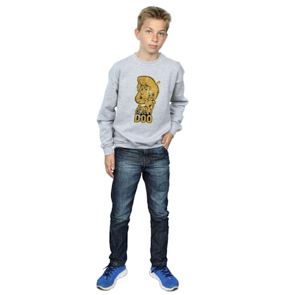 Scooby Doo Pojkar Och Shaggy Sweatshirt 12-13 År Sports Grey Sports Grey 12-13 Years