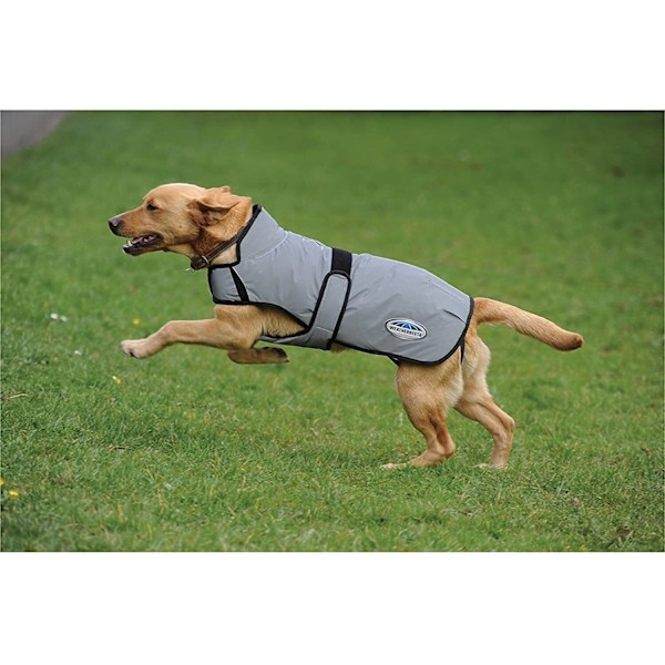 Weatherbeeta Comfitec Reflex Hundtäcke 60cm Silver Silver 60cm