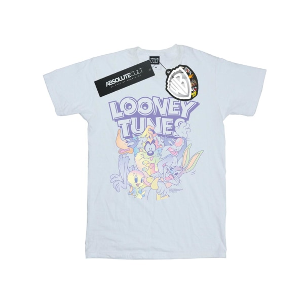 Looney Tunes Mens Rainbow Friends T-shirt XXL Vit White XXL