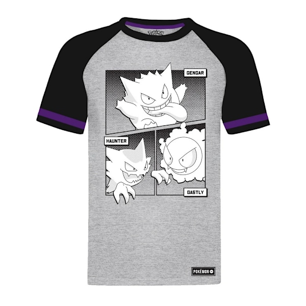 Pokemon Unisex Vuxen Shadow Raglan T-Shirt S Heather Grey Heather Grey S