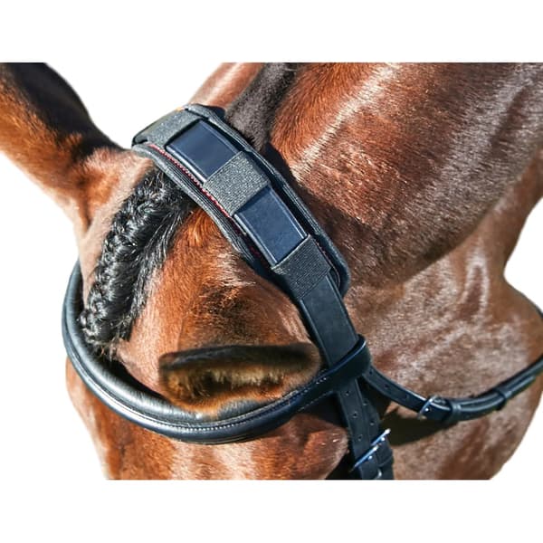 Weatherbeeta Therapy-Tec Anatomisk Poll Pad L Svart Black L