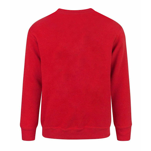 Minecraft Barn/Pojkar Officiell Like A Boss Sweatshirt År Red Years (5/6)