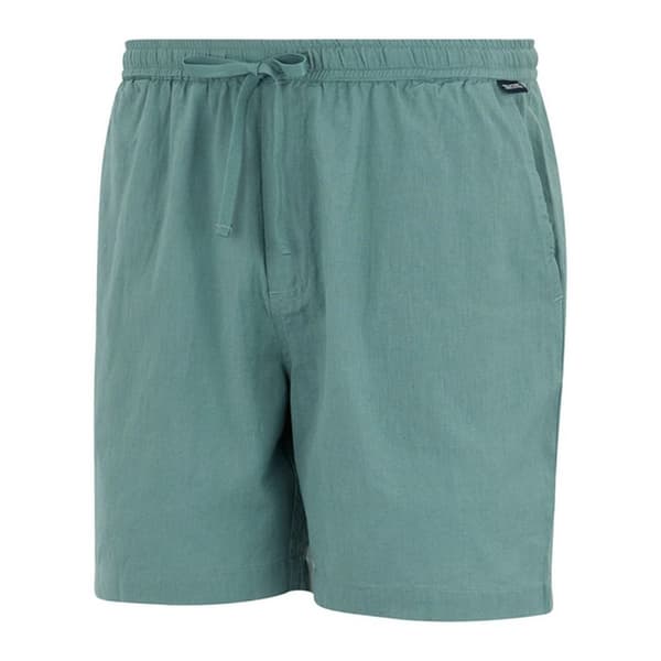 Regatta Hadlin Shorts för män M Arctic Arctic M