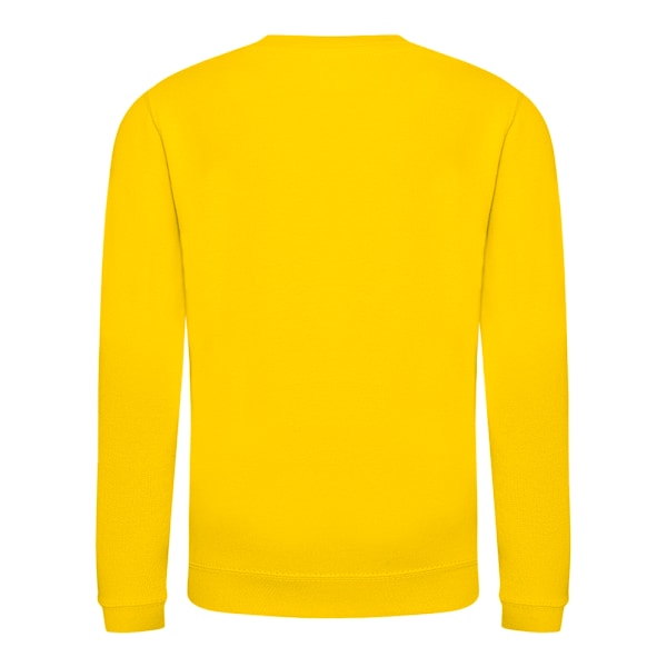 AWDis Just Hoods Barn/Barn Ungdom Enfärgad Sweatshirt med Rund Hals 9-11 Sun Yellow 9-11 Years