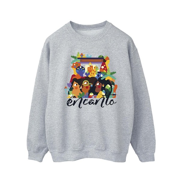 Disney Mens Encanto Sisters Sweatshirt S Sports Grey Sports Grey S
