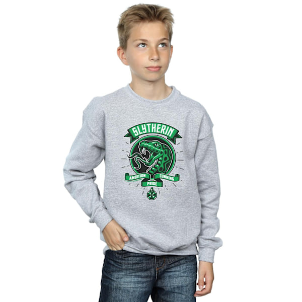 Harry Potter Pojkar Slytherin Toon Crest Sweatshirt 9-11 År Sp Sports Grey 9-11 Years