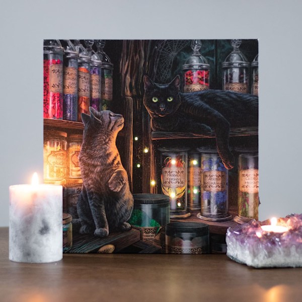 Lisa Parker Magical Emporium Canvas Framed Plaque One Size Mult Multicoloured One Size