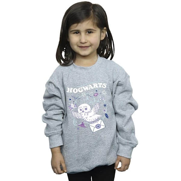 Harry Potter Tjejers Uggla Brev Från Hogwarts Sweatshirt 3-4 År Sports Grey 3-4 Years