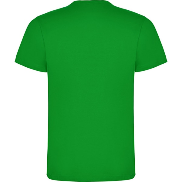 Roly Barn/Kids Dogo T-shirt 11-12 år Gräsgrön Grass Green 11-12 Years