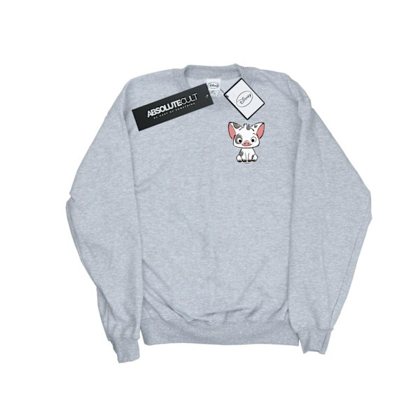 Disney Herr Moana Pua The Pig Brösttryck Sweatshirt S Sport Sports Grey S