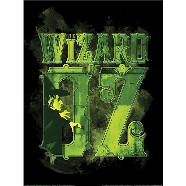 Trollkarlen från Oz Wicked logotyptryck 40cm x 30cm Svart/Grön Black/Green 40cm x 30cm