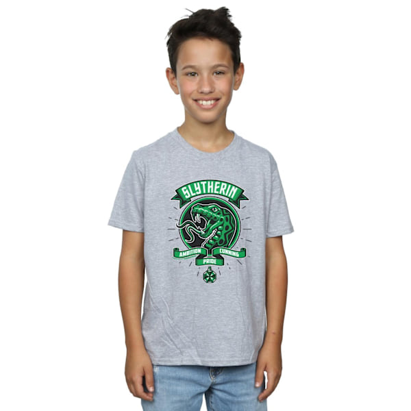 Harry Potter Boys Slytherin Toon Crest T-shirt 5-6 år Sport Sports Grey 5-6 Years