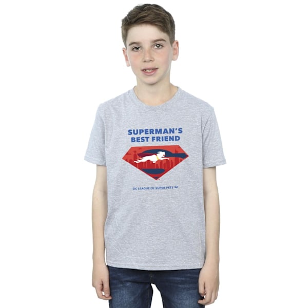 DC Comics Boys DC Comics DC League Of Super-Pets Supermans bästa vän T-shirt 12-13 år Sports Grey Sports Grey 12-13 Years