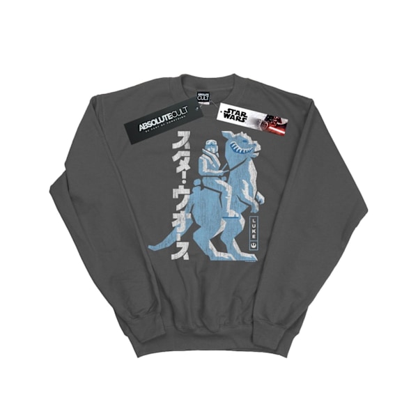 Star Wars Kanji Luke Hoth Sweatshirt L Charcoal för män Charcoal L
