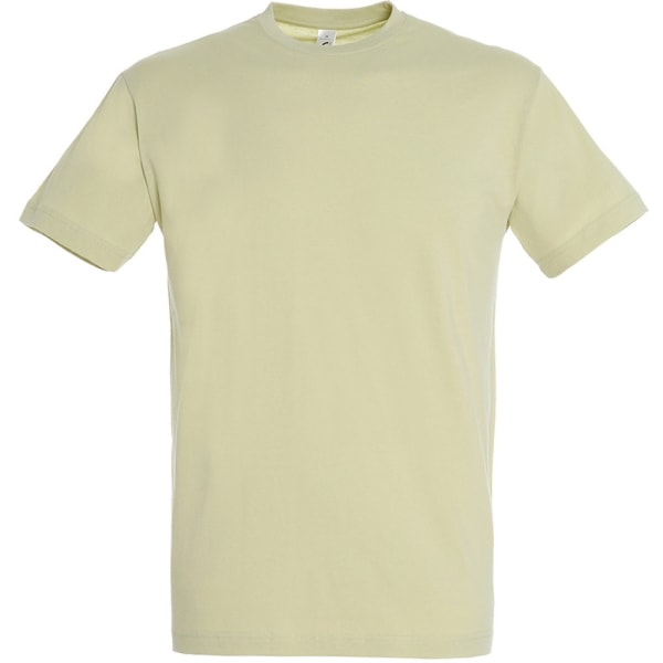 SOLS Regent kortärmad t-shirt för män L Grön Sage Green Sage L