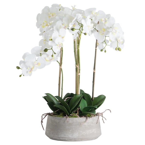 Hill Interiors Orkidé i Stenkruka One Size Vit White One Size