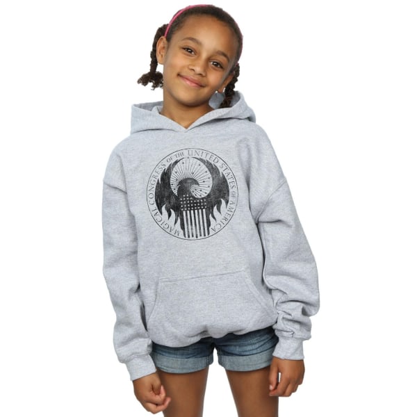 Fantastic Beasts Girls Distressed Magical Congress Hoodie 12-13 Sports Grey 12-13 Years