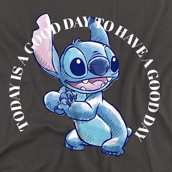 Lilo & Stitch Unisex Vuxen Good Day T-Shirt M Gråmelerad Charcoal M