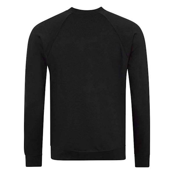 Awdis Barn/Barn Akademi Raglan Sweatshirt L Svart Black L
