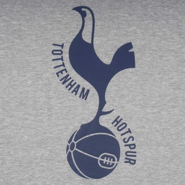 Tottenham Hotspur FC Herr Grafisk Fleecetröja S Grå Grey S