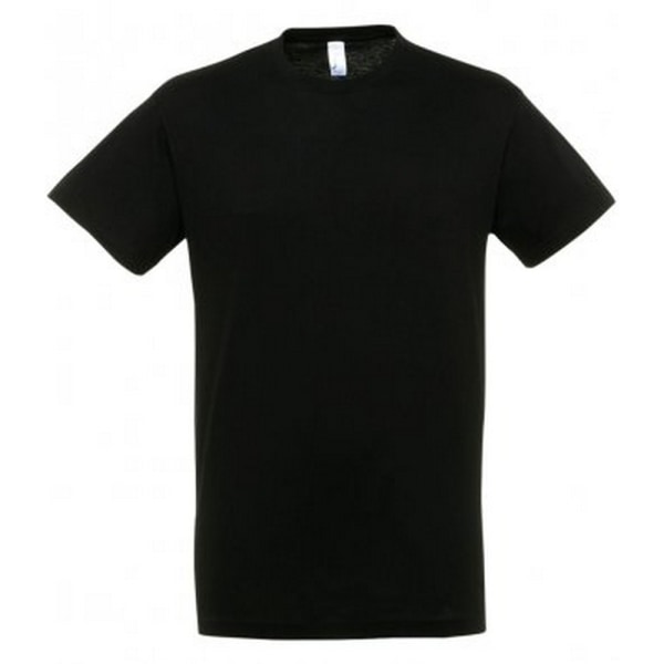 SOLS Regent kortärmad t-shirt för män L Earth Earth L