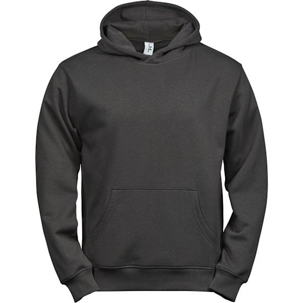Tee Jays Barn/Barn Power Heather Hoodie 8-10 År Grå Grey 8-10 Years