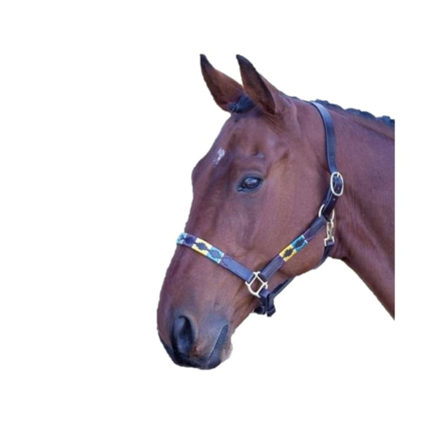 Blenheim Läder Polo Häst Halsband Pony Lila/Mörkgrön/Y Purple/Dark Green/Yellow Pony