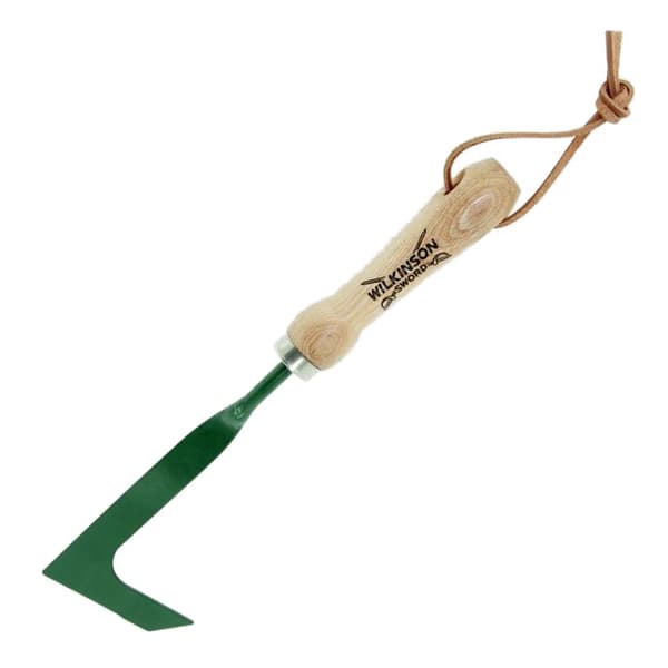 Wilkinson Sword Patio Scraper One Size Green Green One Size