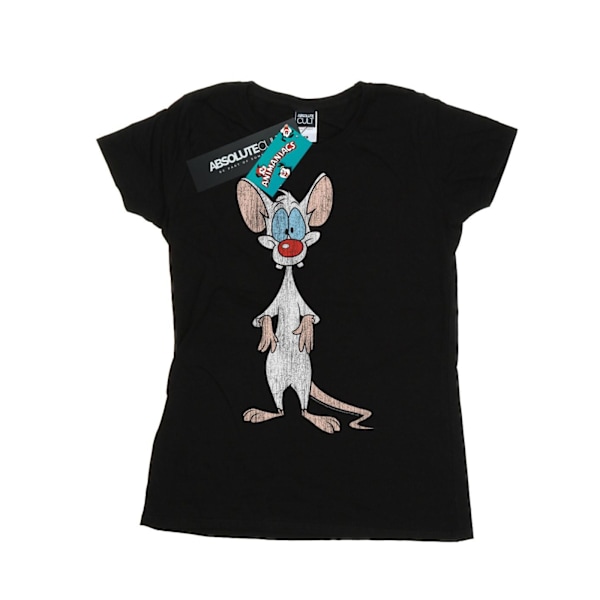 Animaniacs Dam/Kvinnor Pinky Klassisk Pose Bomull T-shirt M Svart Black M