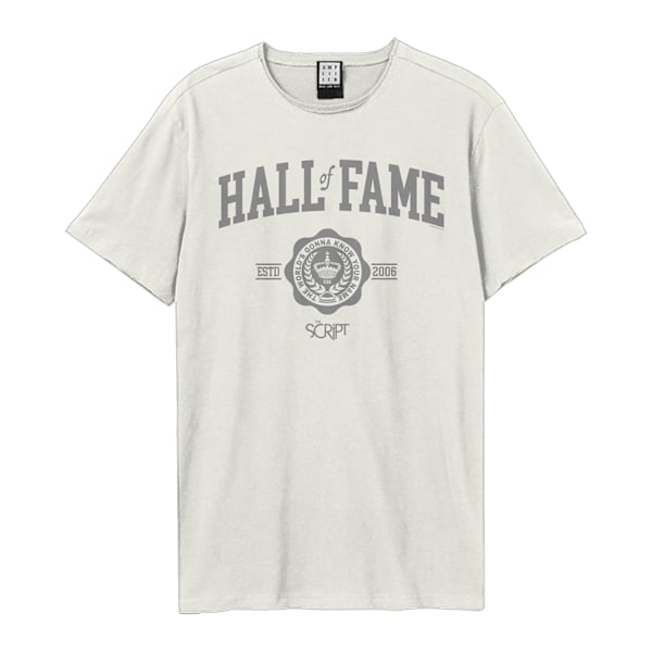 Amplified Unisex Vuxen Hall Of Fame The Script T-shirt XXL Vint Vintage White XXL