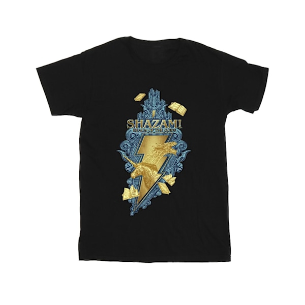 DC Comics Girls Shazam Fury Of The Gods Golden Animal Bolt Bomull T-shirt Black 3-4 Years