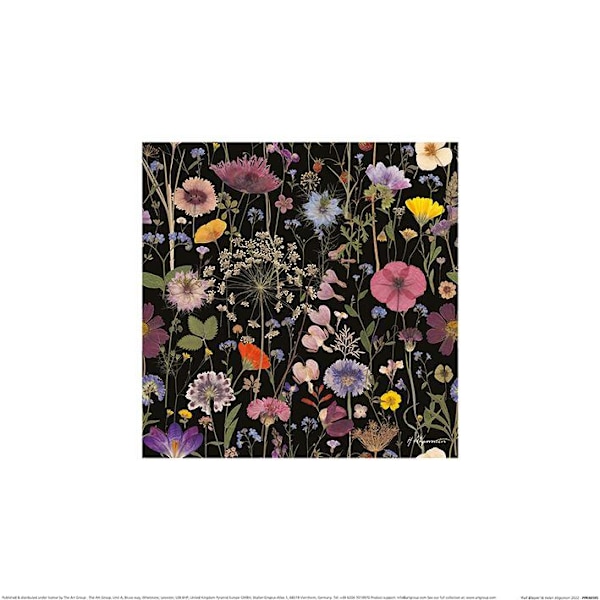 Helen Ahpornsiri Full Bloom Poster 40cm x 40cm Multifärgad Multicoloured 40cm x 40cm