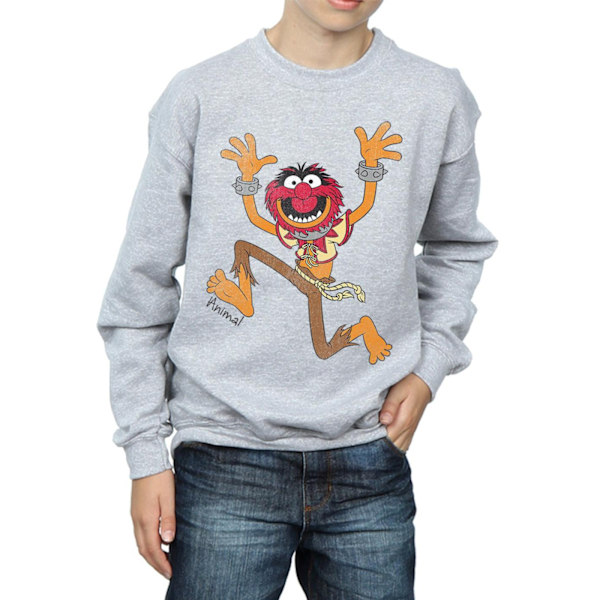The Muppets Boys Classic Animal Sweatshirt 9-11 år Sports Grå Sports Grey 9-11 Years