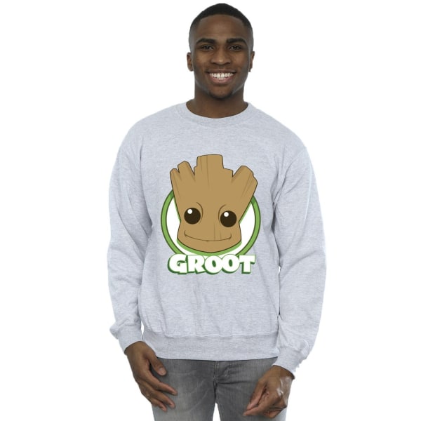 Guardians Of The Galaxy Män Groot Badge Sweatshirt M Sports Gr Sports Grey M