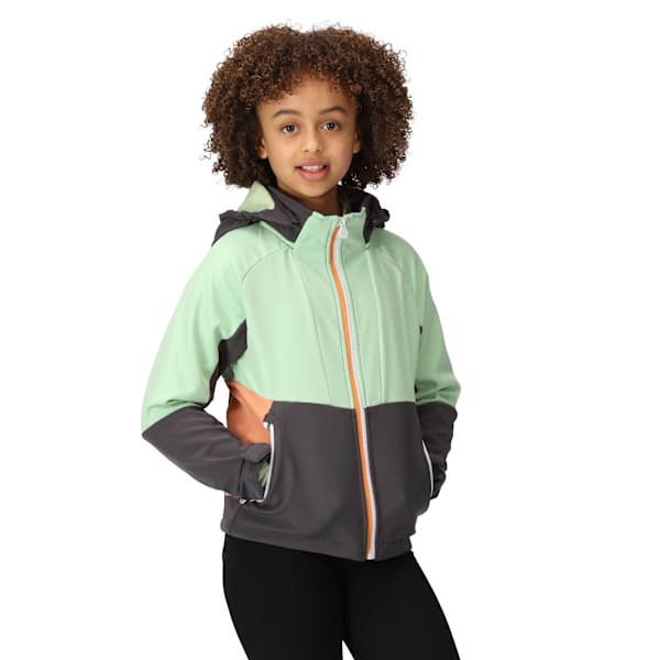 Regatta Haydenbury Softshelljacka för barn 15-16 år Seal Grey/Quiet Green 15-16 Years