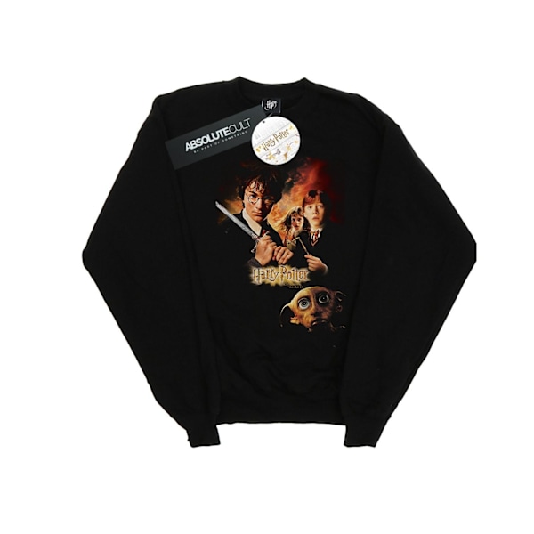 Harry Potter Herrkammare Hemligheter Affisch Sweatshirt 3XL Svart Black 3XL