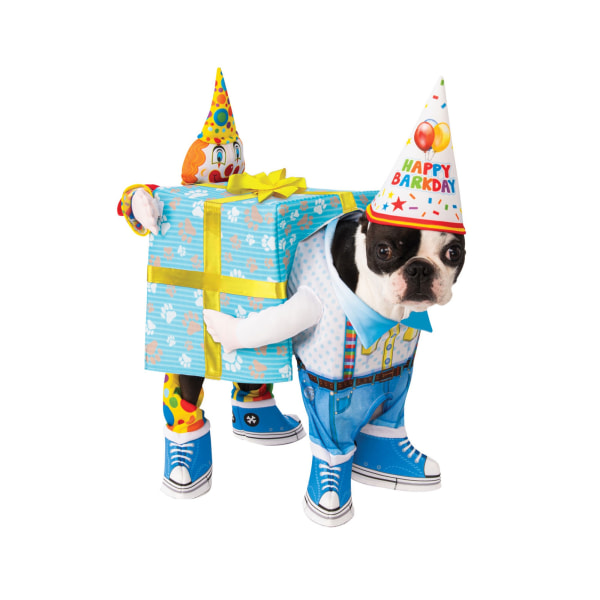 Bristol Novelty Clown Birthday Dog Costume S Flerfärgad Multicoloured S