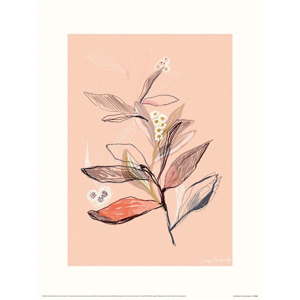 Hope Bainbridge Sketch II Blommig Tryck 30cm x 40cm Rosa Pink 30cm x 40cm