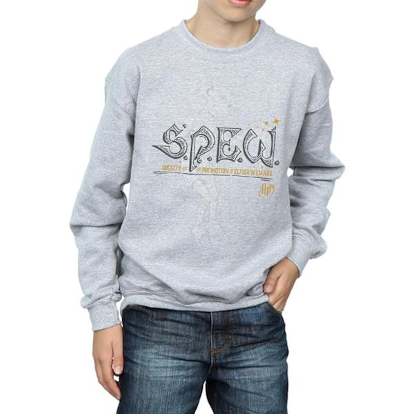 Harry Potter Boys Dobby Elfish Welfare Sweatshirt 9-11 år Sp Sports Grey 9-11 Years