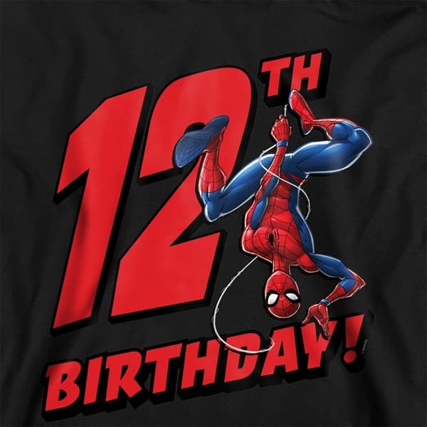Spider-Man Barn/Barn Pull Over 12-årsdag Huvtröja 5-6 År Black 5-6 Years