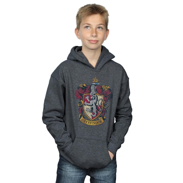 Harry Potter Pojkar Gryffindor Distressed Crest Hoodie 12-13 År Dark Heather 12-13 Years