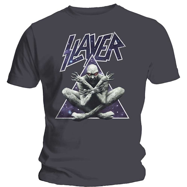 Slayer Unisex Vuxen Triangel Demon T-Shirt XXL Kolgrå Charcoal Grey XXL