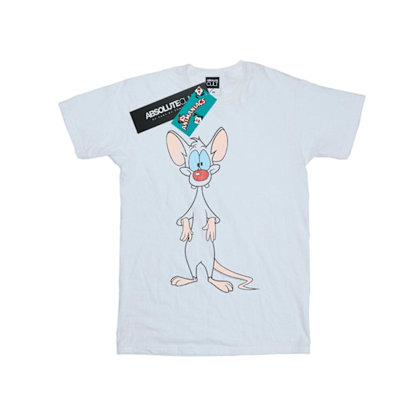 Animaniacs Dam/Kvinnor Pinky Klassisk Pose Bomull Pojkvän T- White L