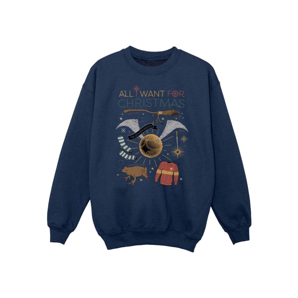 Harry Potter Boys All I Want For Christmas Sweatshirt 12-13 År Navy Blue 12-13 Years